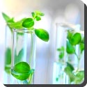 What is green chemistry?