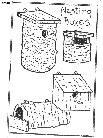 Nesting Boxes