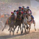 Nihangs ride horses at the Hola Mohalla festival in Anandpur Sahib on March 13, 2017