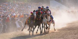 Nihangs ride horses at the Hola Mohalla festival in Anandpur Sahib on March 13, 2017
