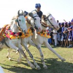 Nihangs show horse riding during the ongoing Holla Mohalla celebrations at Anandpur Sahib