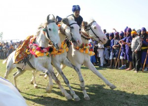 Nihangs show horse riding during the ongoing Holla Mohalla celebrations at Anandpur Sahib