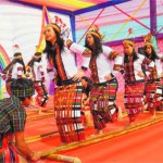 Students perform Bamboo Dance at Baba Farid Group of Institute in Bathinda