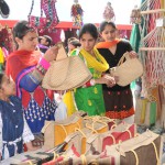 Visitors at a stall at Saras Mela near the Rose Garden in Bathinda on March 9, 2015