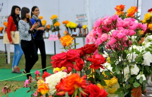 Visitors view flower arrangements on the inaugural day of the 44th Rose Festival at the Rose Garden in Sector 16, Chandigarh, on February 19. 2016.