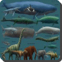 Which animals are among the largest that have ever lived?