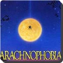 What is arachnophobia?