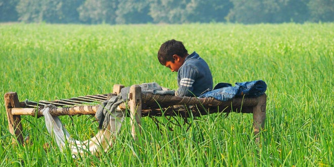 Baisakhi: The New Season