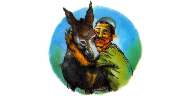 अली का गधा