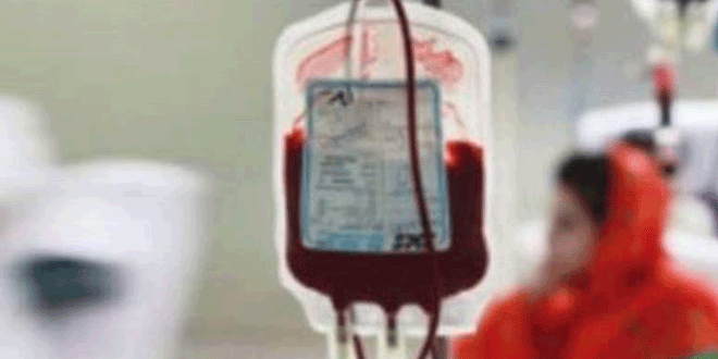 How much blood can you give to others?