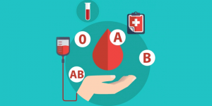 What is blood group?
