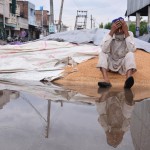 A farmer in a pensive mood following an unexpected bout of rain at the grain market in Sangrur on April 16, 2015