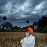 A farmer prays to the heavens in a field in Patiala on April 16, 2015. Another unexpected bout of rain destroyed standing crops in several parts of the state