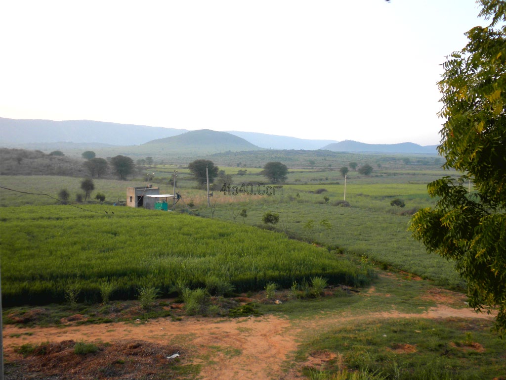 Agricultural fields in Ganesh Pura, Keeno Ki Dhani, Thanagazi (Alwar)