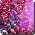 What is Biological Significance of Holi?