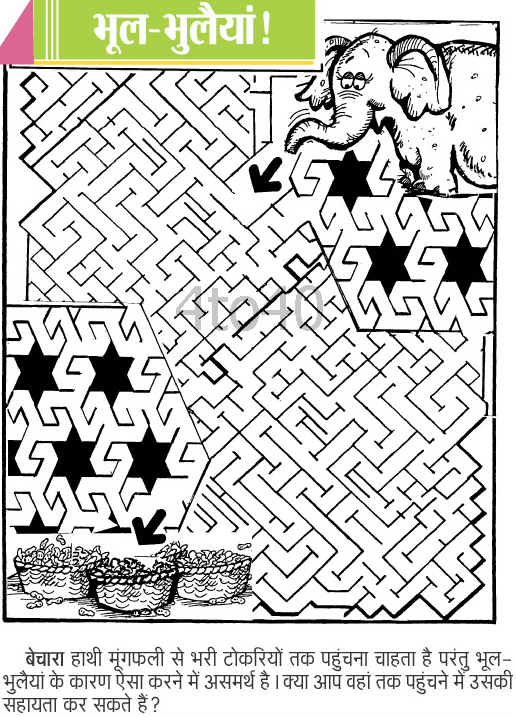 Elephant and Peanut – Maze Game