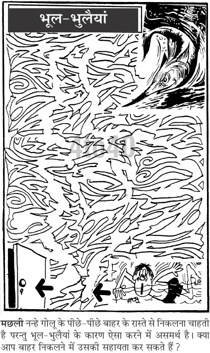 Killer Fish – Maze Game