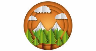 Paper Folding Activity