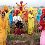 Punjab celebrate Baisakhi