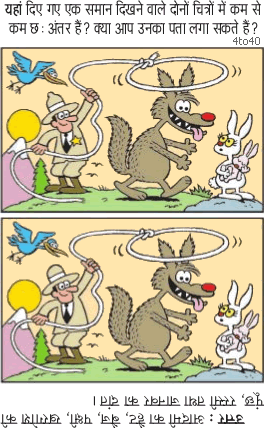 Spot The Difference - Animal Catcher