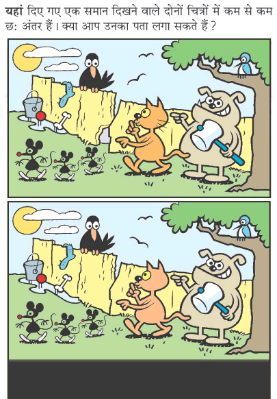 Spot The Difference - Animal Kingdom
