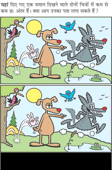 Spot The Difference - Animal Planet