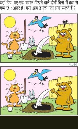 Spot The Difference - Dog Bone