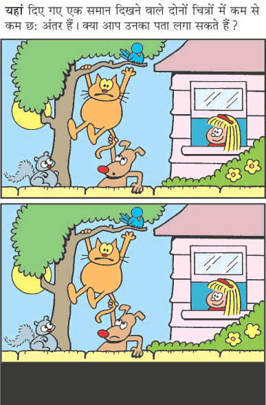 Spot The Difference - Hanging Cat