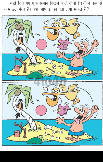 Spot The Difference – Island