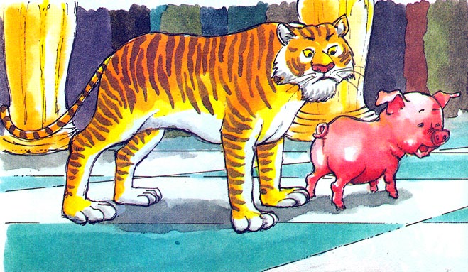 Tiger and the pig