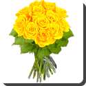 If red roses speak of love, what do yellow roses indicate?
