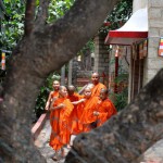 Young Buddhist monks are seen through a bodhi tree as they arrive to offer prayers on the occasion of Buddha Purnima in Bangalore on May 4, 2015, the 2559th Buddha Jayanthi or birth celebrations of Buddha.