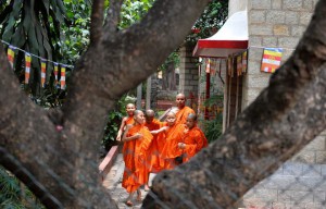 Young Buddhist monks are seen through a bodhi tree as they arrive to offer prayers on the occasion of Buddha Purnima in Bangalore on May 4, 2015, the 2559th Buddha Jayanthi or birth celebrations of Buddha.
