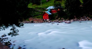 Attraction – Ella Wheeler Wilcox