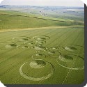 What are crop circles?