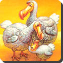 Where did all the dodos go?