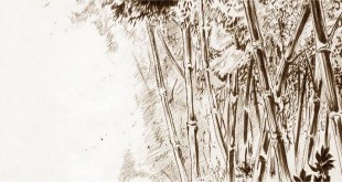 Flowering Bamboos – Priya. N