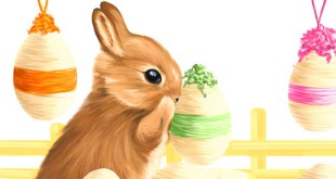 Funny Bunny - Grandpa Tucker