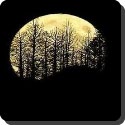 What is a moon tree?