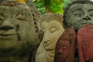 Various looks of lord Buddha