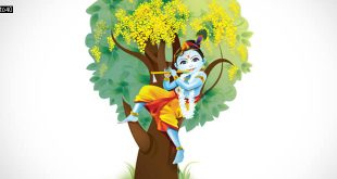 What are the Different Names of Krishna?