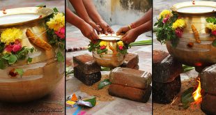 When is Thai Pongal Celebrated?