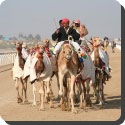 What is the Camel Race Track?
