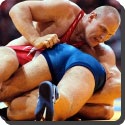 What is Greco-Roman wrestling?