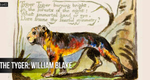 The Tiger: A poem by the English poet William Blake