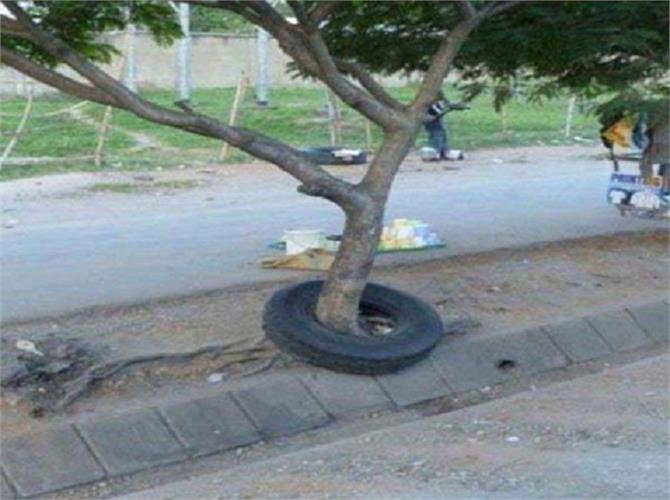 Tire Tree