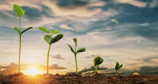 आओ मिलकर पेड़ लगायें: सुरिंदर शर्मा