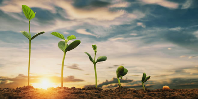 आओ मिलकर पेड़ लगायें: सुरिंदर शर्मा