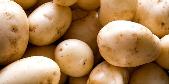 Aloo - Om Prakash Bajaj