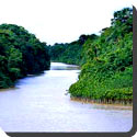 Why is the Amazon River so called?